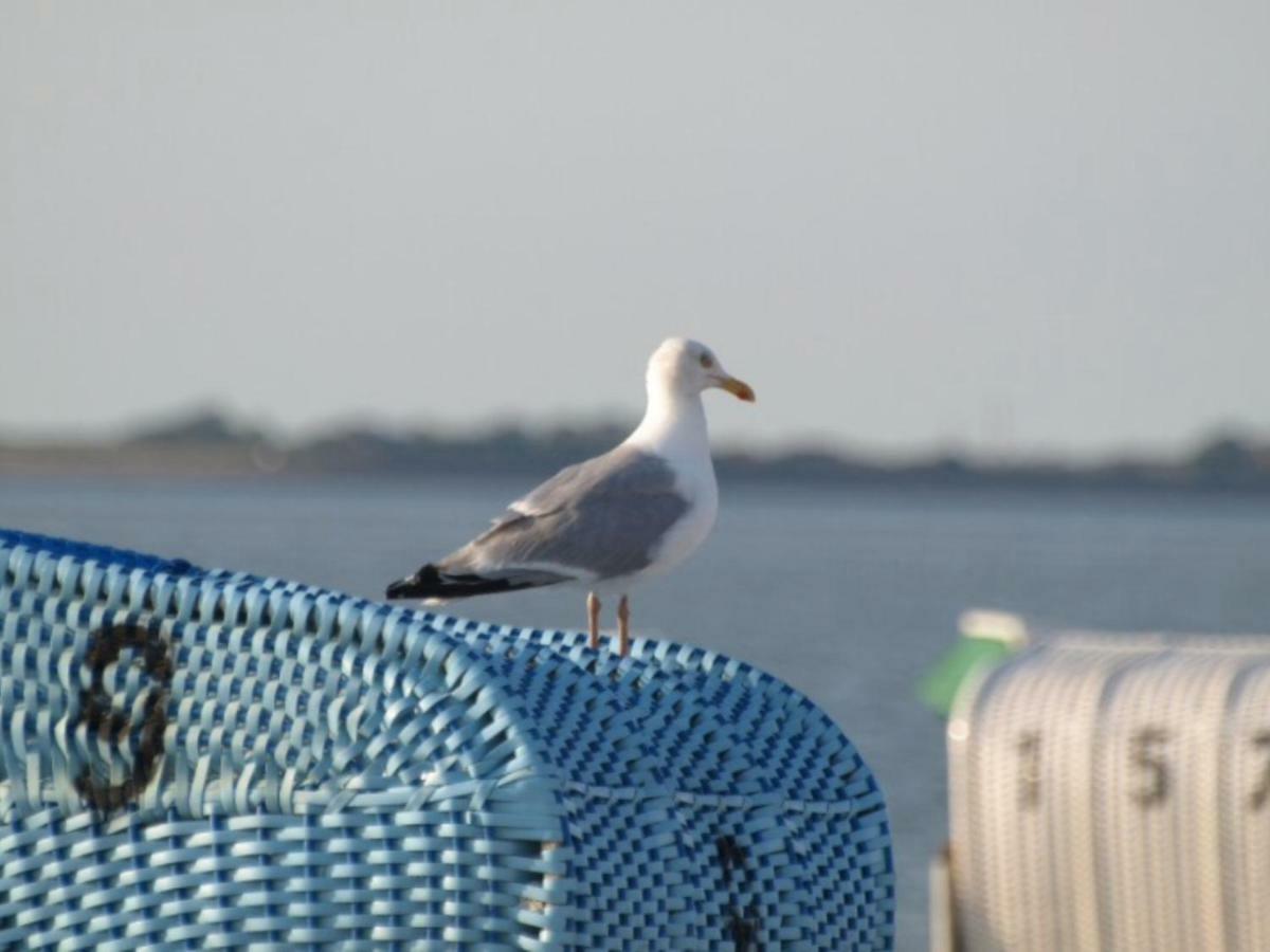 Strandlaeufer Schönhagen Zewnętrze zdjęcie